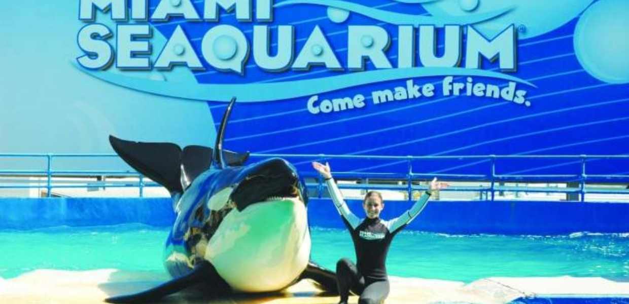 Miami Seaquarium, el privilegio de disfrutar de cerca la vida marina