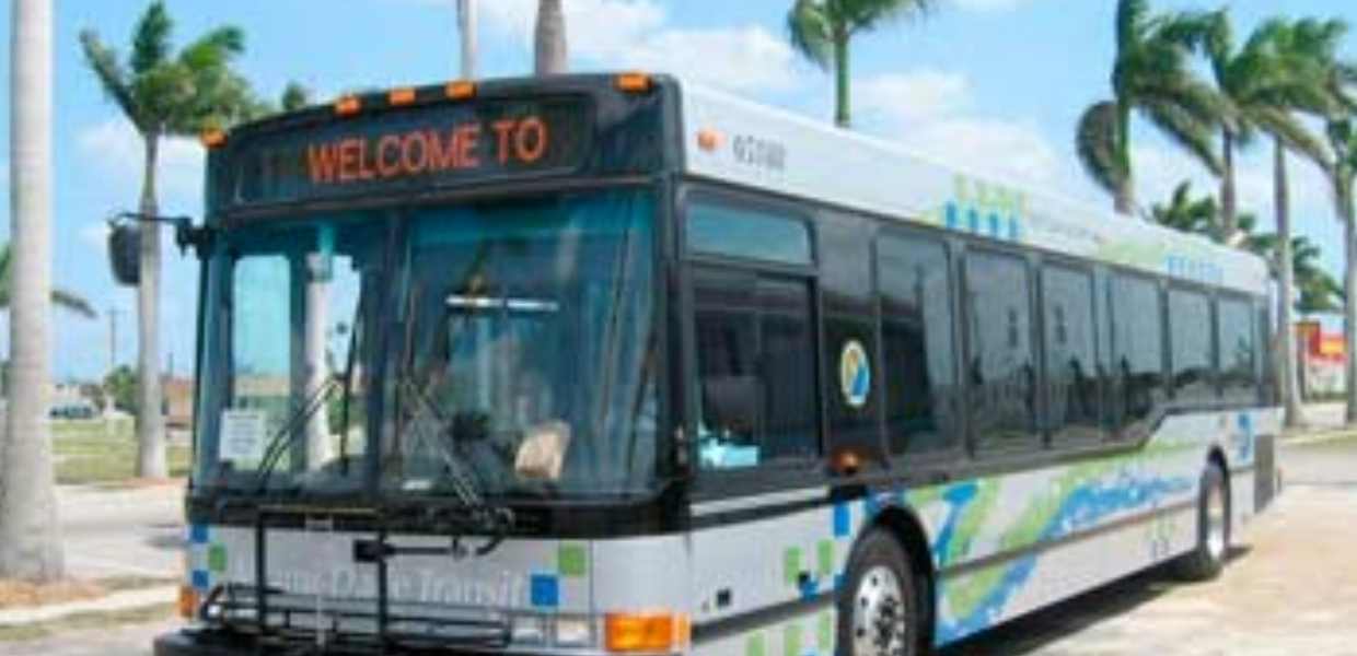 CÓMO MOVERSE POR MIAMI?