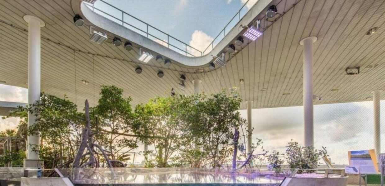 Guía para conocer las inolvidables maravillas del downtown de Miami