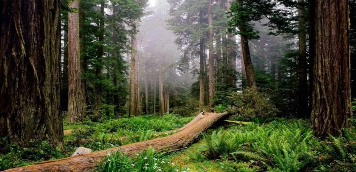 Las 10 maravillas naturales de los Estados Unidos