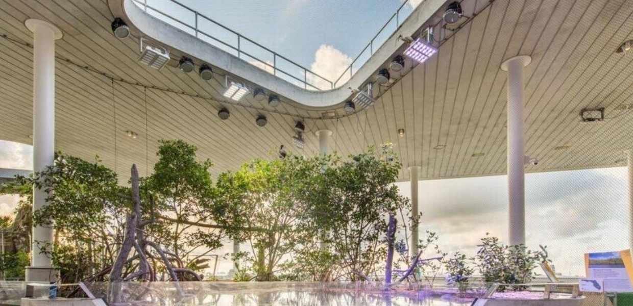 Las inolvidables maravillas del downtown de Miami
