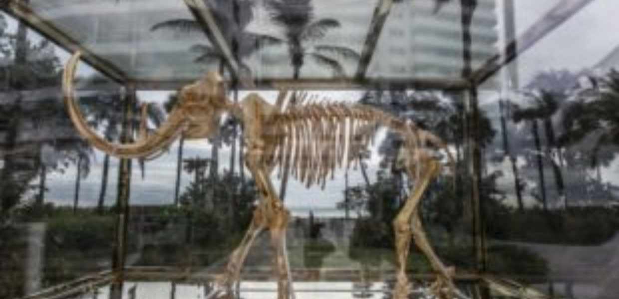¿Qué ver en dos días en Miami, la ciudad del lujo, el arte y el diseño más vanguardista?