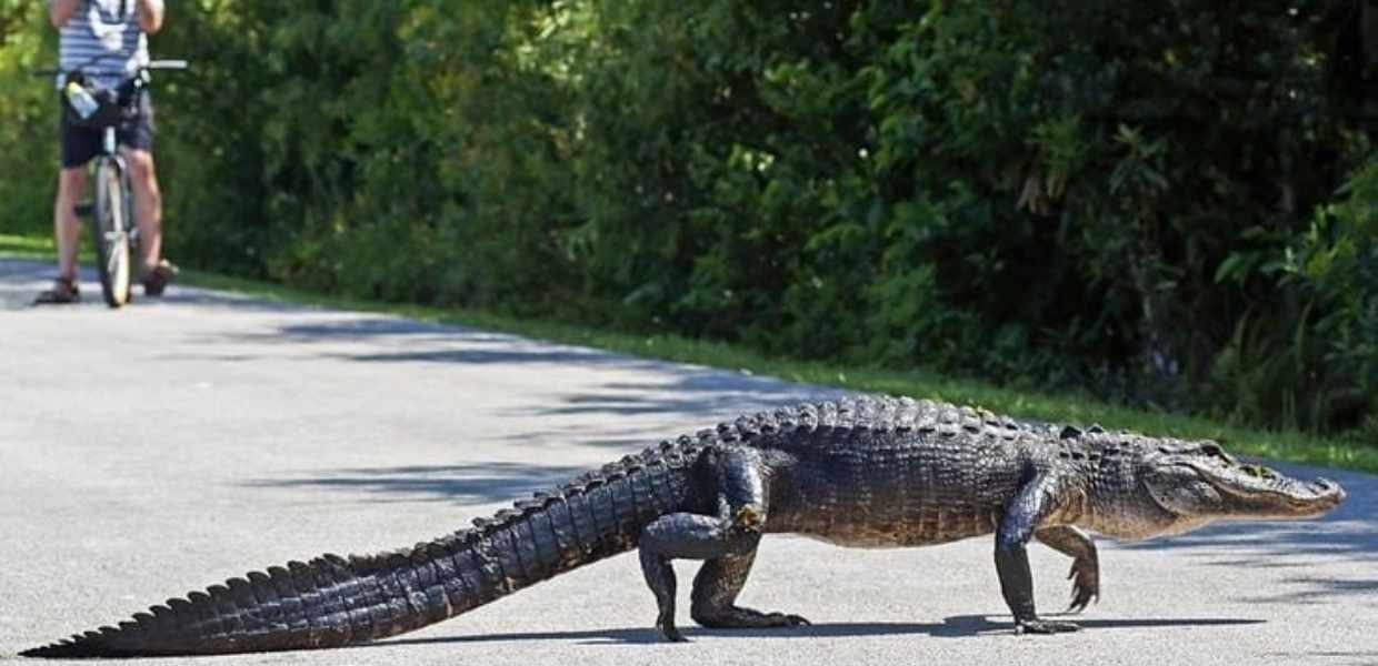 Miami: diez imperdibles lejos del circuito clásico
