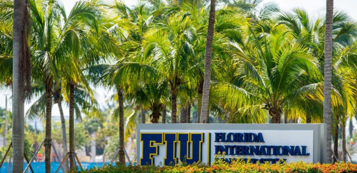 Universidades en Miami: Ofertas para la evolución profesional