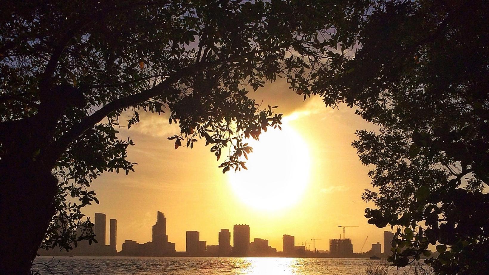 ¿Cuál es el precio del metro cuadrado en Miami?