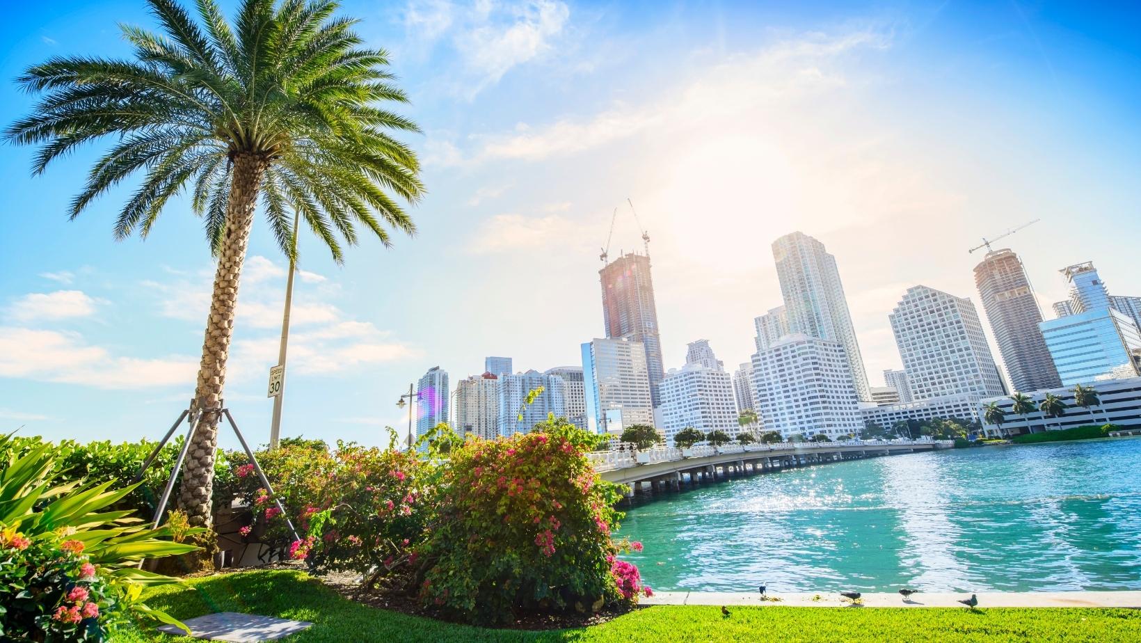 Los Ángeles vs. Nueva York vs. Miami