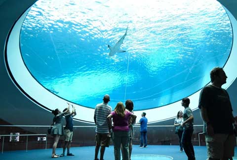 Mejores museos de Miami