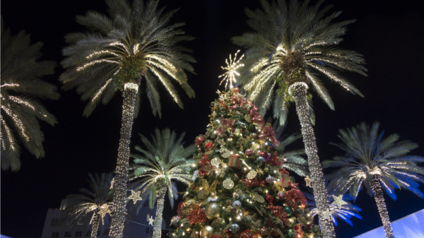 NAVIDAD EN MIAMI-2