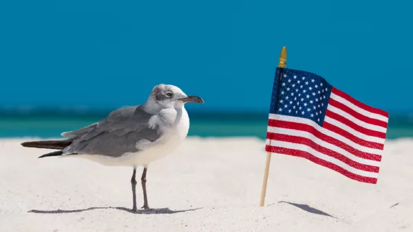 4 de julio en Miami